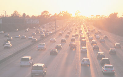 ITEN Member Professor Alan Stevens Co-Edits New Book